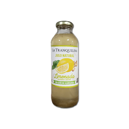 [397] Jugo natural de LIMON, MENTA y JENGIBRE x500ml - La Tranquilina